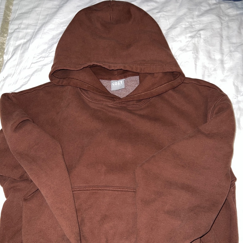 Aritzia Tna Cozy Fleece Boyfriend Shrunken Hoodie Sweatshirt